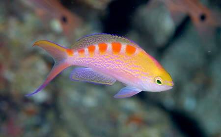 �����@�΍�